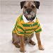 Casual Canine Rugby Polos - Green and Gold X Small
