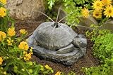 Orbit DarwinSeries Garden Turtle Sprinkler Heads 67611