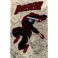Daredevil by Mark Waid - Volume 1