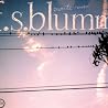 Image of album by F.S. Blumm