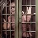 Mummy Window Cling Adult