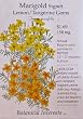 Marigold Signet Lemon Tangerine Gems Heirloom Seeds