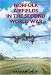 Norfolk Airfields in the Second World War