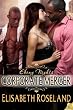 Corporate Merger (Ebony Nights)