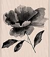Hero Arts Hero Arts Mounted Rubber Stamps, 4 by 3-Inch, Painted Flower