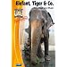 Elefant, Tiger & Co., Teil 18 (2 DVDs)