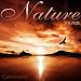 Country Garden - Beautiful Bird Song, Wildlife and Nature Sounds