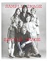 David Cassidy 70's autographed PARTRIDGE FAMILY photo