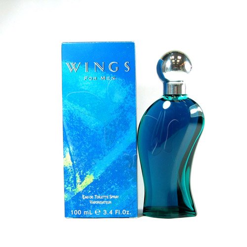 Wings 100ml Toillettenwasser f&uuml;r ihn Preisvergleich