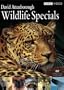David Attenborough Wildlife Specials