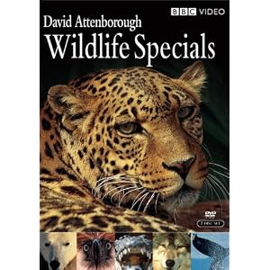David Attenborough Wildlife Specials
