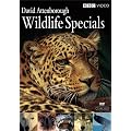 David Attenborough Wildlife Specials