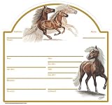 Stalltafel Haflinger Asterix - Christina Boetzel Reitsport Pferd Pferde Stallschild Schild Reiten Geschenk Deko
