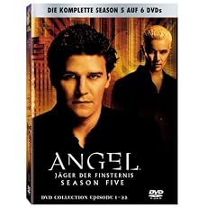Angel - J�ger der Finsternis: Die komplette Season 5 (6 DVDs)