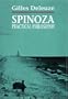 Spinoza: Practical Philosophy