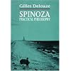 Spinoza: Practical Philosophy
