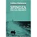 Spinoza: Practical Philosophy
