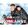Roseanne Season 1
