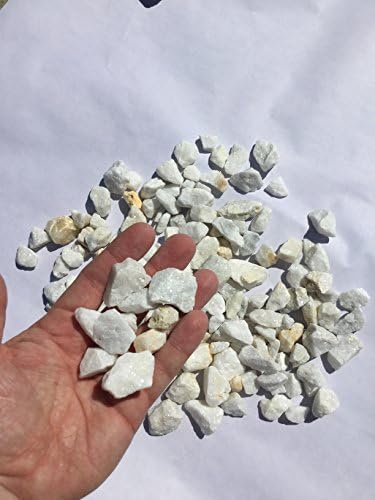 WHITE DOLOMITE 1/2" to 1" Size 160 gallons shipped in 3 barrels