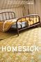 Homesick (Hebrew Literature Series)