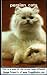 Persian Cats by J. Ramsdale