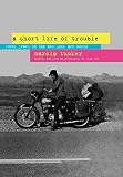 A short life of trouble : forty years in the New York art world