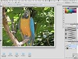 picture of Infinite Skills Adobe Photoshop CS5 Training DVD - Tutorial Video (PC/Mac)