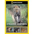 National Geographic: Stalking Leopards [DVD]