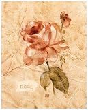 Rose on Cracked Linen by Cheri Blum,8 in. x 10 in.