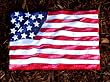 America in Motion Garden Stone