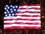 America in Motion Garden Stone