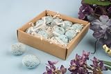 12 Ceramic Robin bird small Faux Bird's Eggs, Boxed - Blue w/ Brown Spots