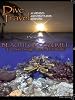 Dive Travel Beautiful Cozumel The Drift Diving Capital of the World