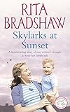 Skylarks at sunset