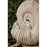 Campania International Ammonite Cast Stone Fountain English Moss - FT-200-EM