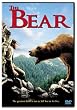 The Bear
