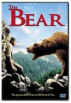 The Bear