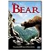 The Bear