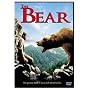 The Bear