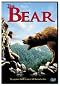 The Bear