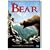 The Bear