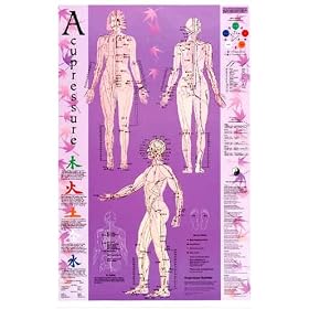 Acupressure Point Reference Laminated Chart