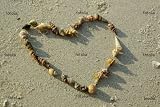 'Heart From Seashells On Sand Beach' Wall Decal - 18"W x 12"H Removable Graphic