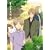�ĖڗF�l�� 4 [DVD]