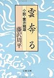 雲奔る―小説・雲井竜雄 (文春文庫 (192‐4))