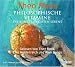  : Philosophische Vitamine