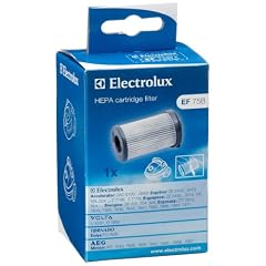 Electrolux EF 75B HEPA Filter / Minion ATI 76.. / Vampyrette AS 203 /Accelerator AAC 67.. / Progress PC71..