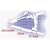 Accu Measuren Skinfold Calipers