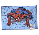 Spiderman Bath Rug