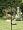 Gardman USA 0280019 Wild Bird Feeding Kit